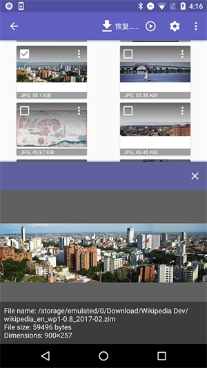 Diskdigger安卓版apk最新版下载