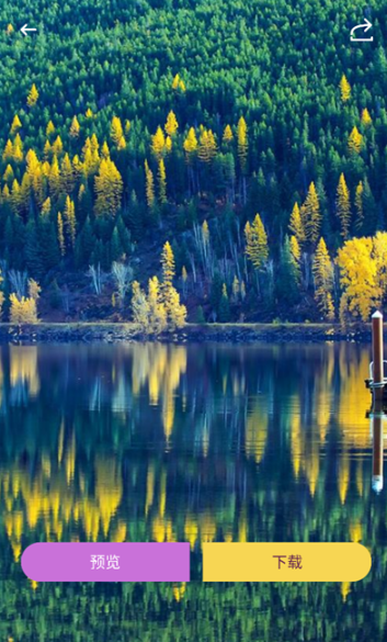 回音鸟组件下载