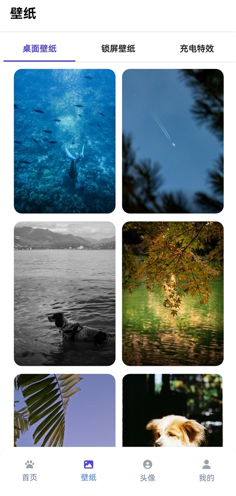 shimeji桌宠下载最新版