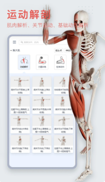 3Dbody解剖图手机版免费下载