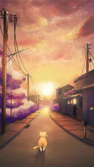 流浪的橘猫侠下载