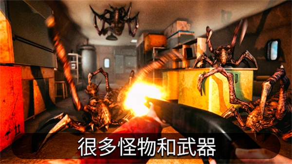 南极洲88号下载手机版