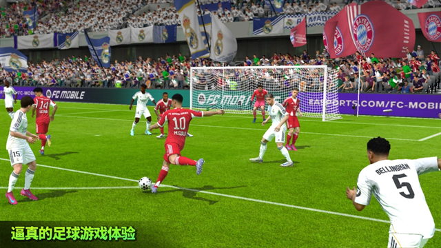 EA SPORTS FC官方版下载