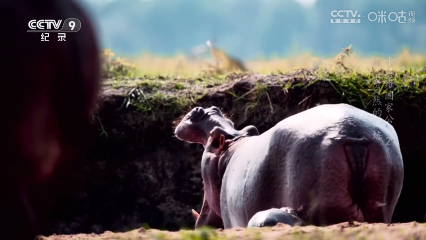 猫TV­影视官方下载