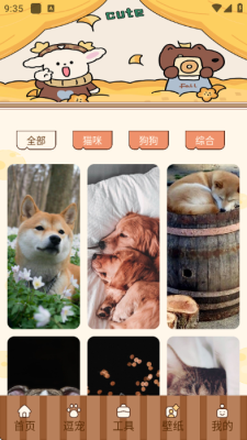 汛语翻译官方版