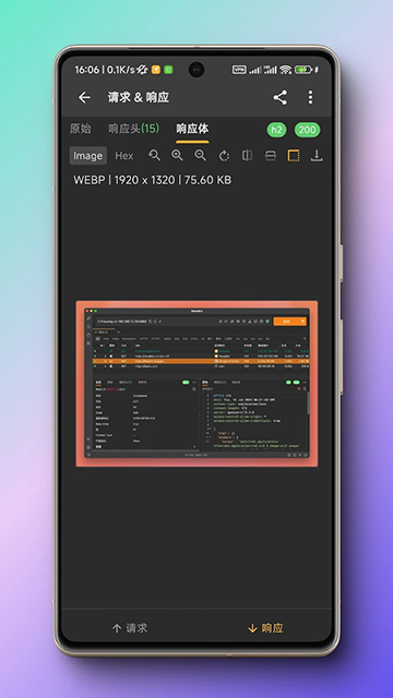 小黄鸟官网版下载安装app