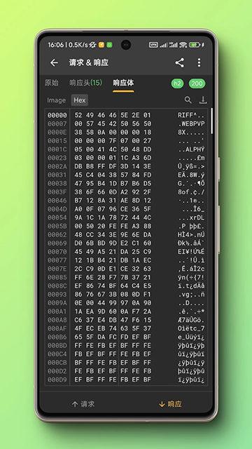 小黄鸟官网版下载安装app