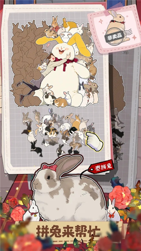 挤在一起的兔兔2026最新正版