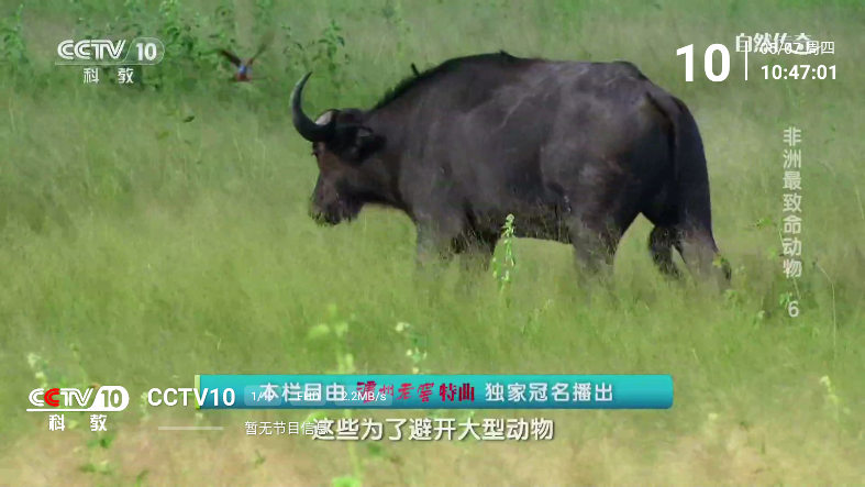 乡村电视tv版最新版