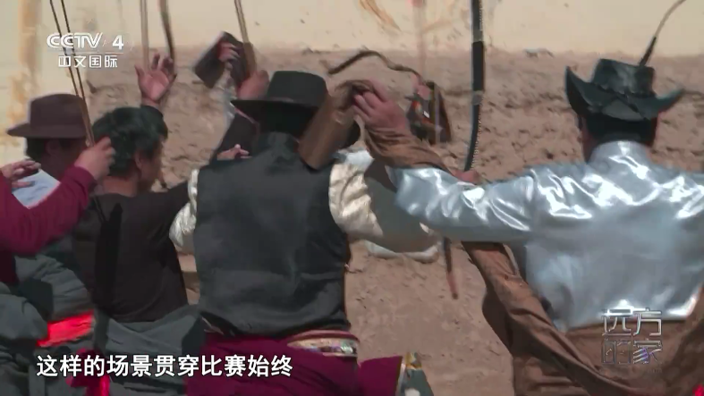 乡村电视tv版最新版