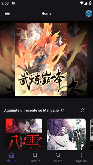 30153146wstv.png