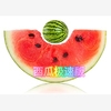 西瓜电视版app最新版
