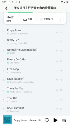 LE Music安卓版