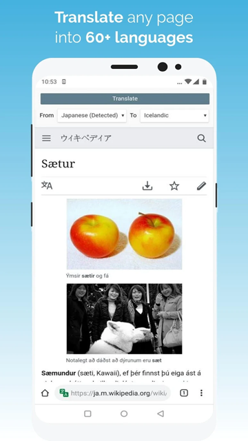 kiwi浏览器最新版下载
