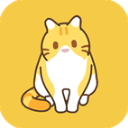 领养一只流浪猫