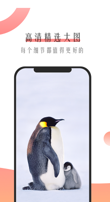 米柚壁纸手机版下载