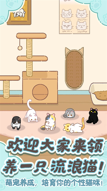领养一只流浪猫下载最新版