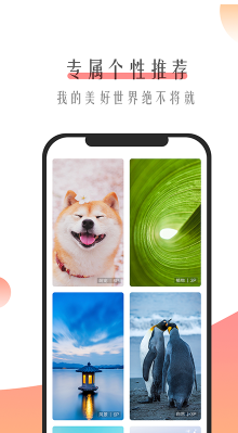 米柚壁纸手机版下载
