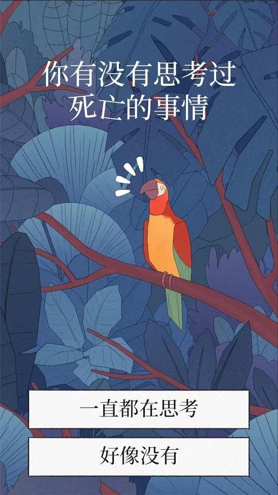 孤独的鸟儿官方下载