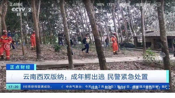 悠悠电视TV版下载