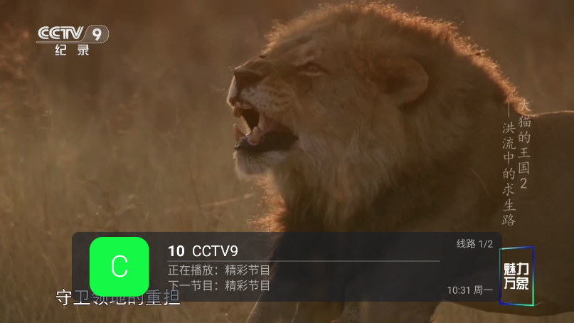 马到功成免费版安卓版