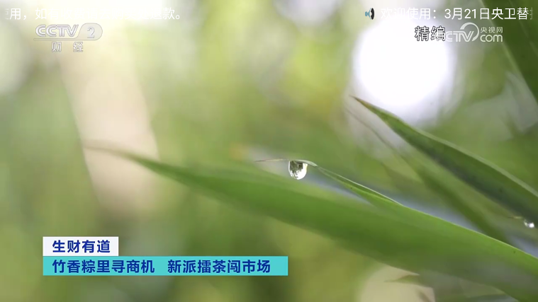 白虎TV最新版下载