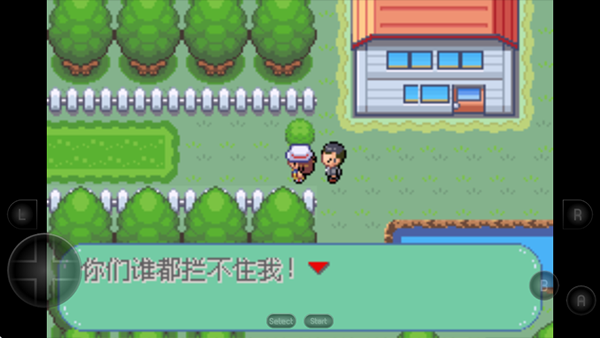 口袋妖怪彼岸花绽放之夜手机版下载