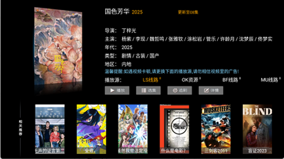 雷石电影TV电视版下载