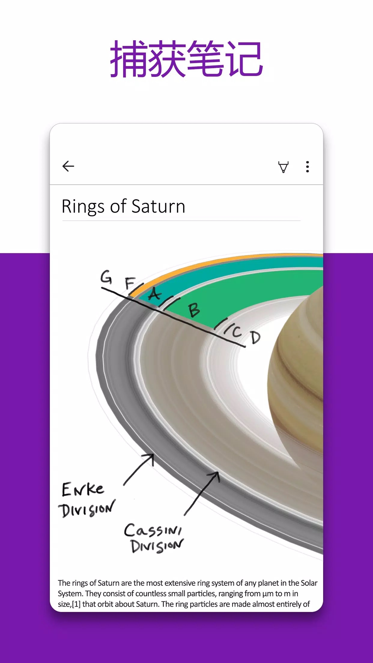 OneNote app