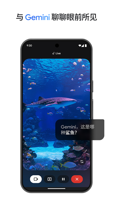 Gemini3.5Pro安卓手机版下载