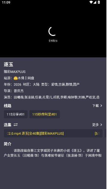 盘影VOX专版app下载