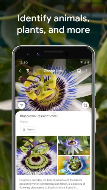 Google 智能镜头 app下载