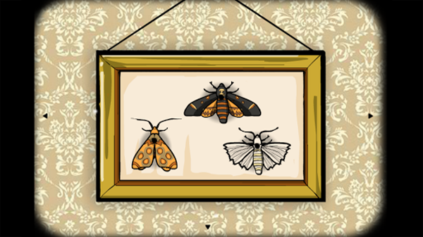 1780977987347052.png 29134046qng0.png