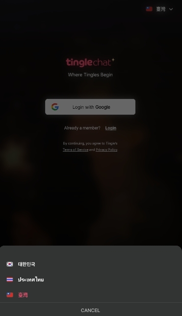 TingleChat AI虚拟聊天APP官方版