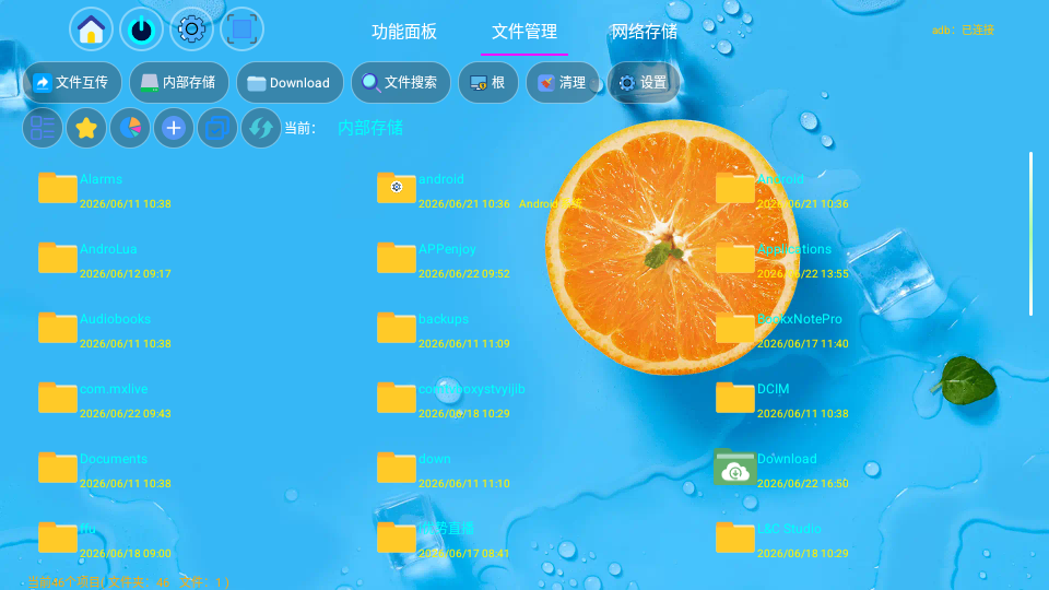 小草管家TV版下载