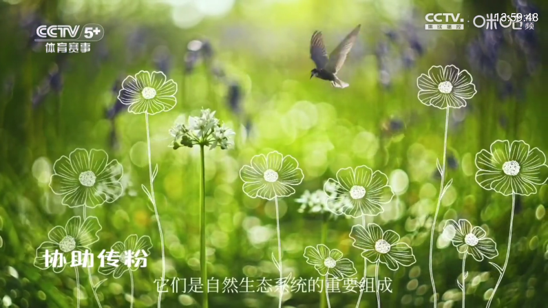 河南ip软件TV版