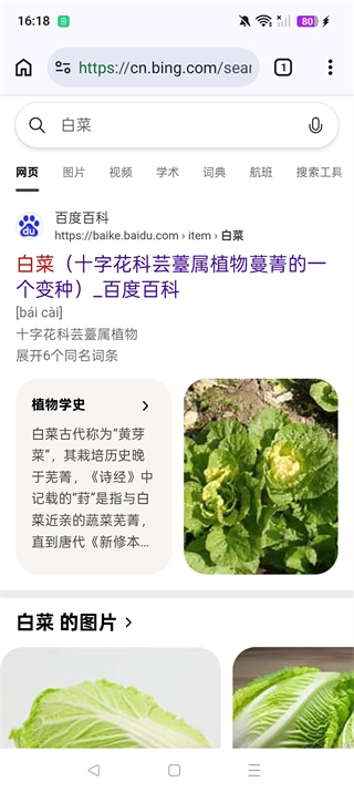 Cromite浏览器APP官方版