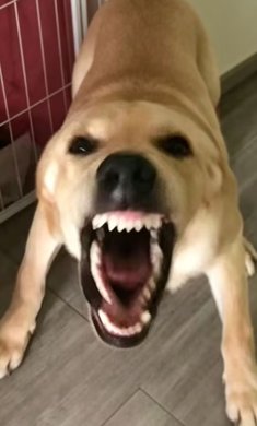 1784615271607850.png 2.png