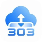 303网盘手机版下载