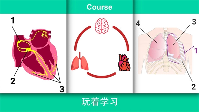 真实医疗模拟器手游中文版下载