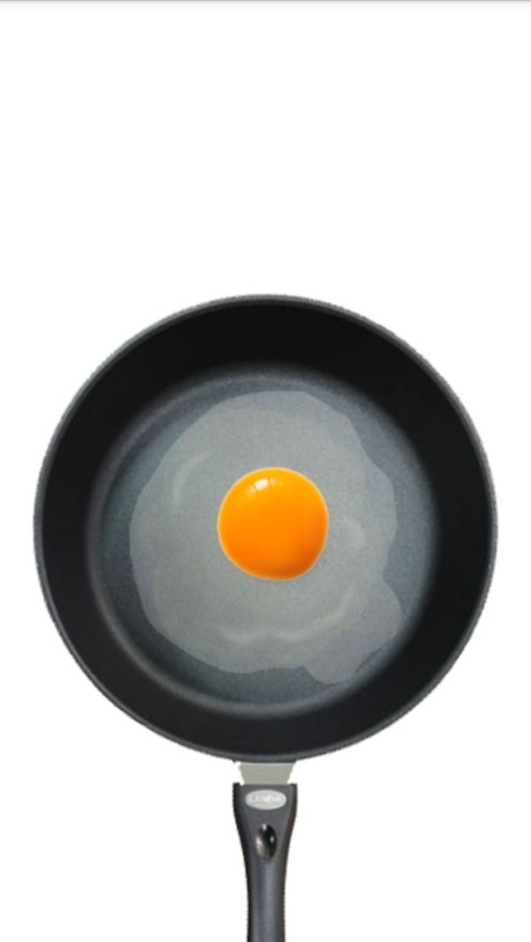 Fried Egg手机版下载