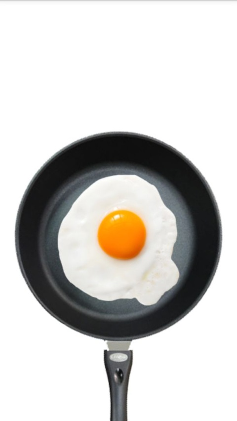 Fried Egg手机版下载