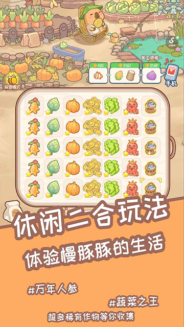 慢豚豚的生活最新版
