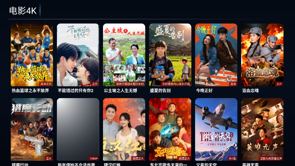 剧OKTV电视版下载
