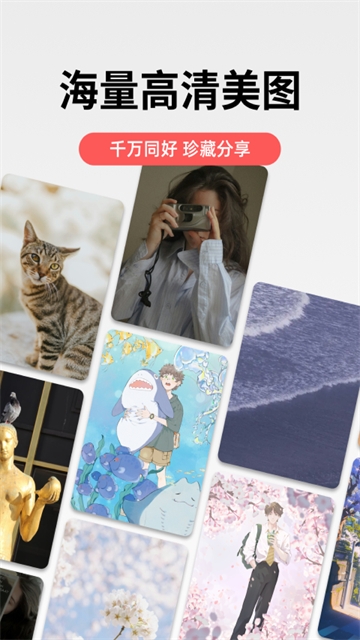 堆糖app官方版下载