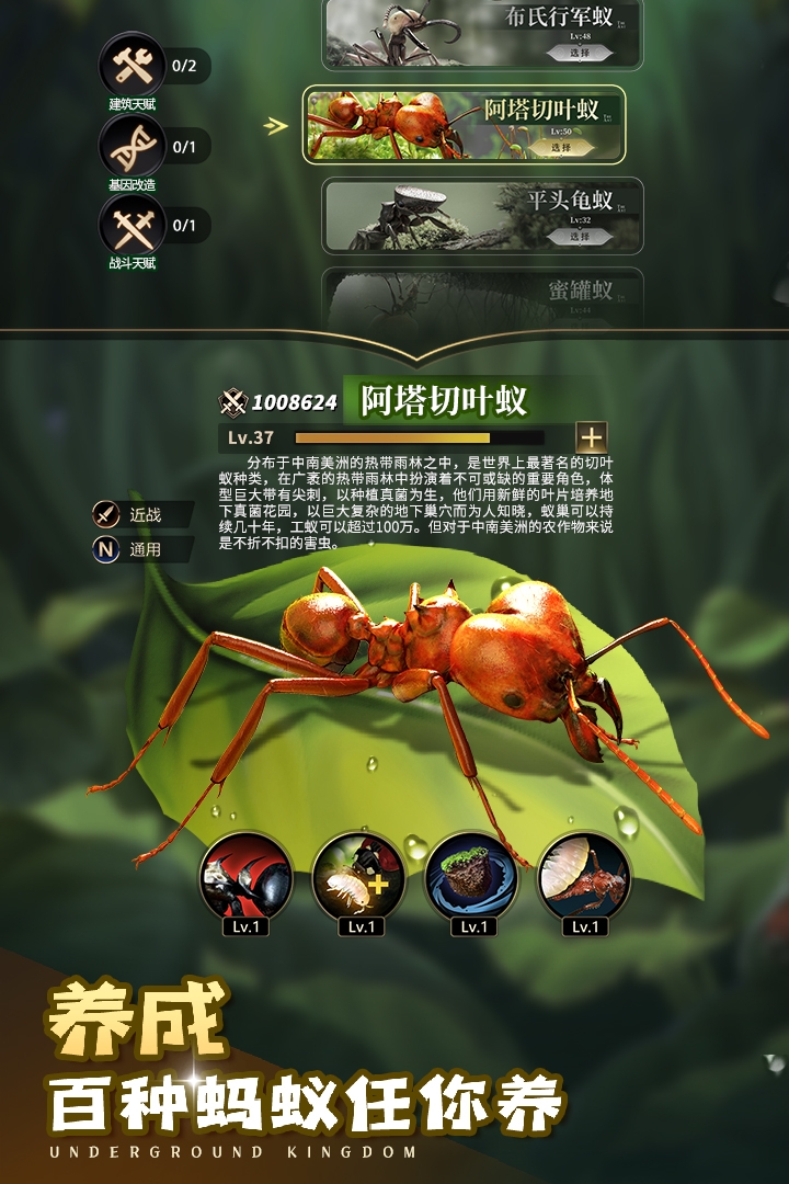 小小蚁国安卓版下载