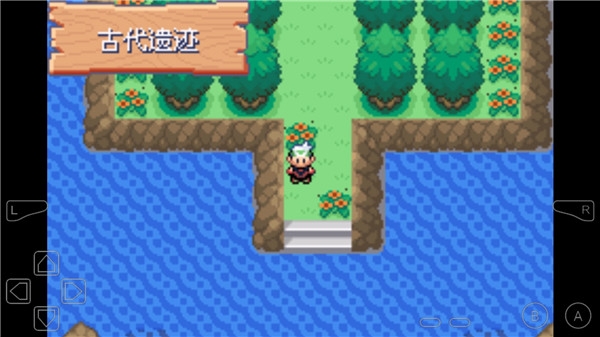 口袋妖怪永恒之沫手机版下载