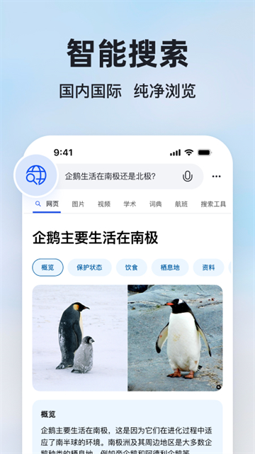 微软必应 浏览器