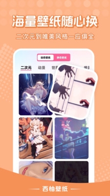 西柚壁纸app下载安装最新版