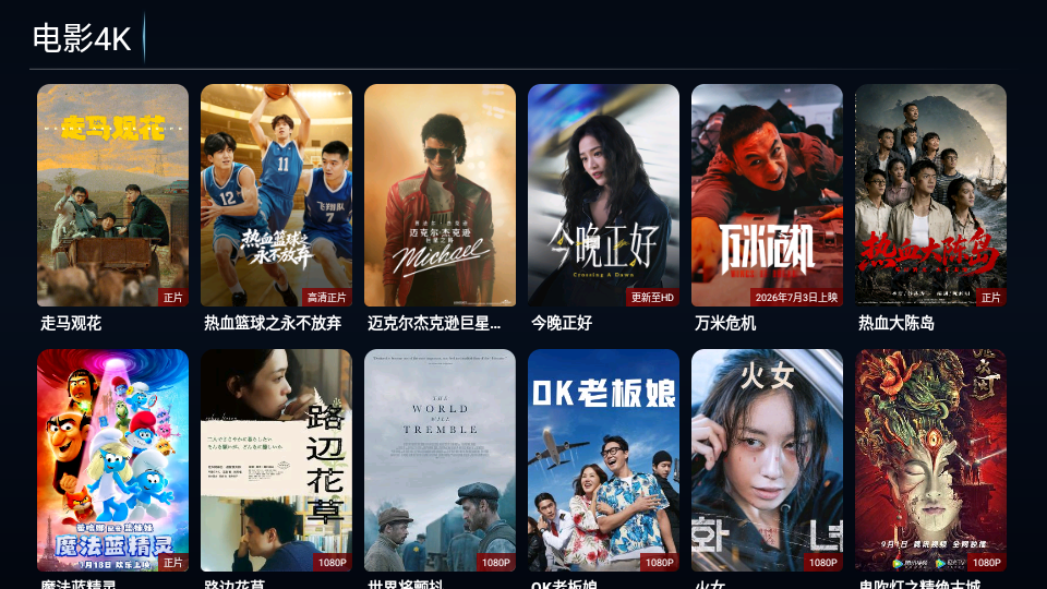 极悦4K电视版下载